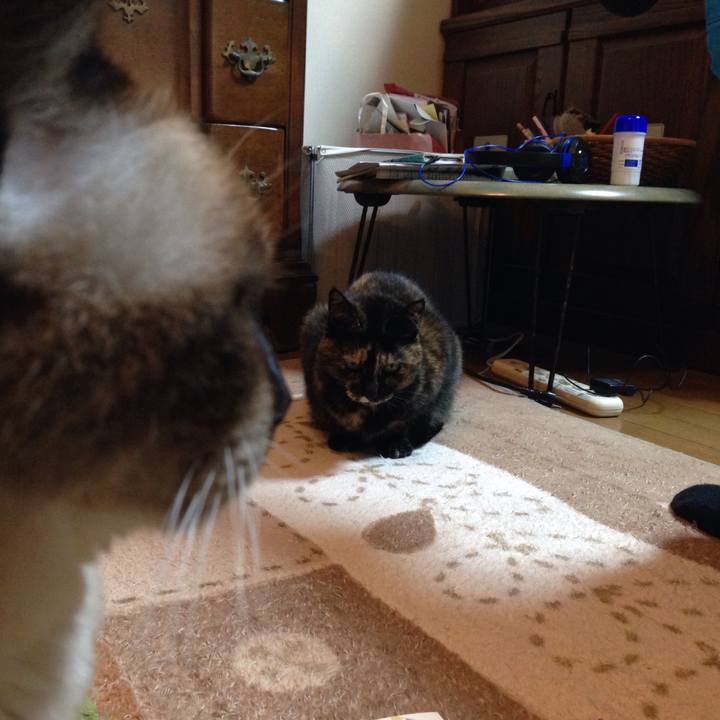 0aabc727 efad 4256 a141 674bf7fb7460