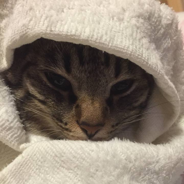 0aac3937 afa2 40b0 8f9e b943ff626f6f