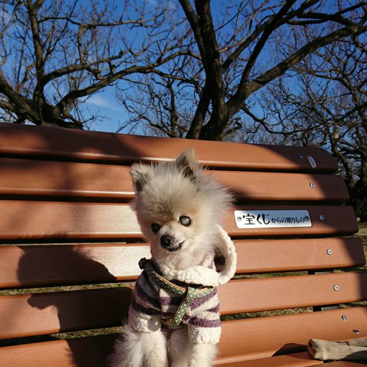 0aac4c8e 785f 4b92 bdd6 239c564b178f