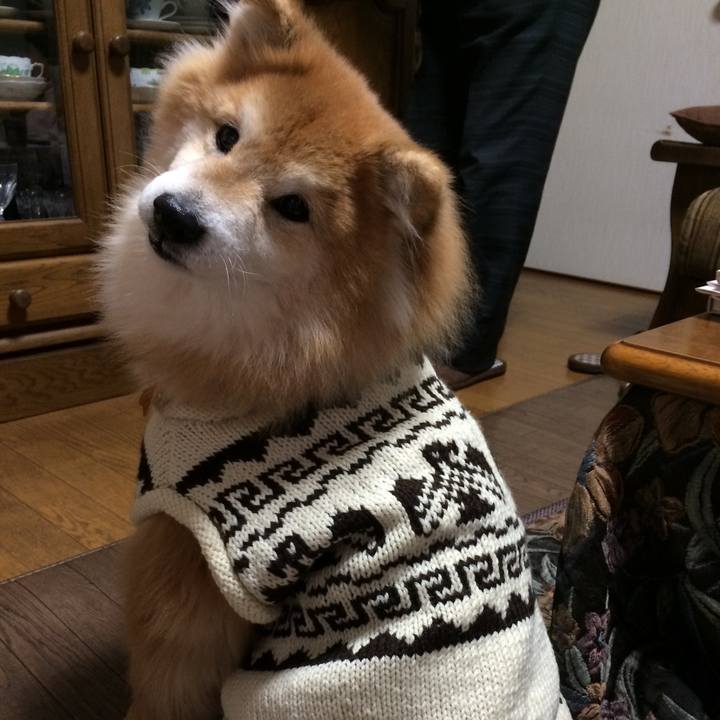 0aad29bc 09f6 41a9 8e5a c7cbfc815bd4