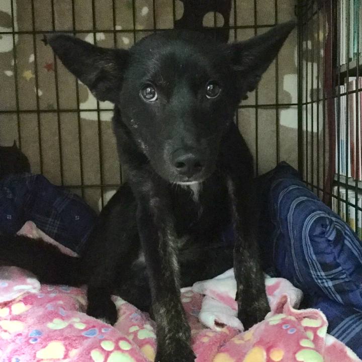 0aad4331 8310 488a 956b 7992813a6ec5