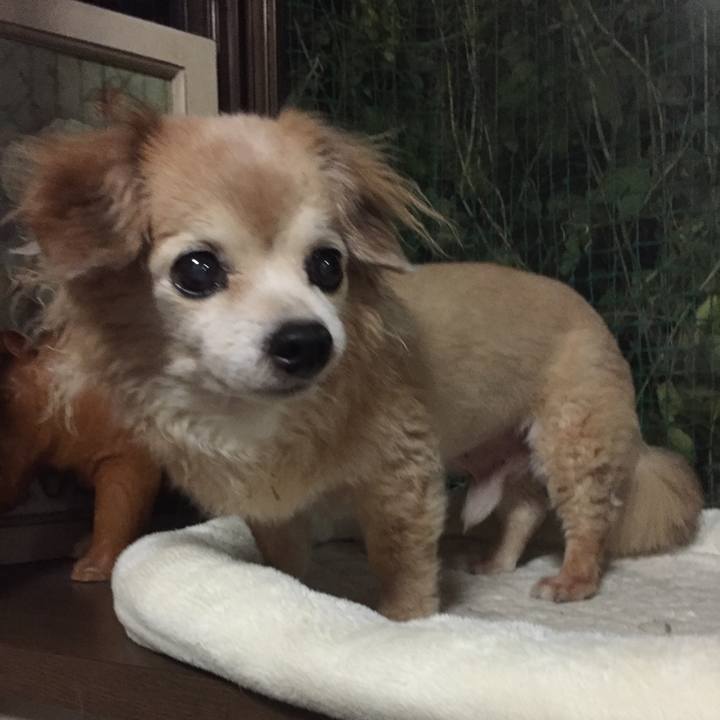 0aad8227 cdbf 4ec9 85cc 4128e11e9378