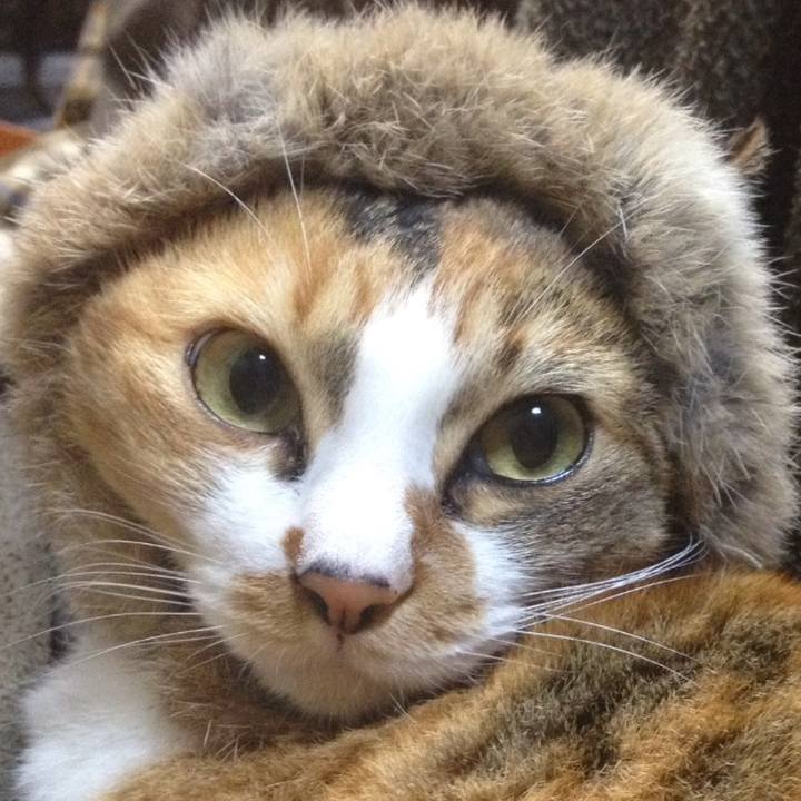 0aadfa76 56c1 4904 8311 b76399ef94df