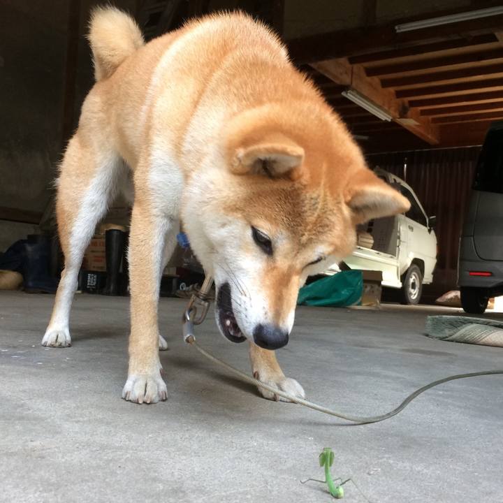 0aae41e2 8af0 4cf1 a02c 5b5a7efd7e30