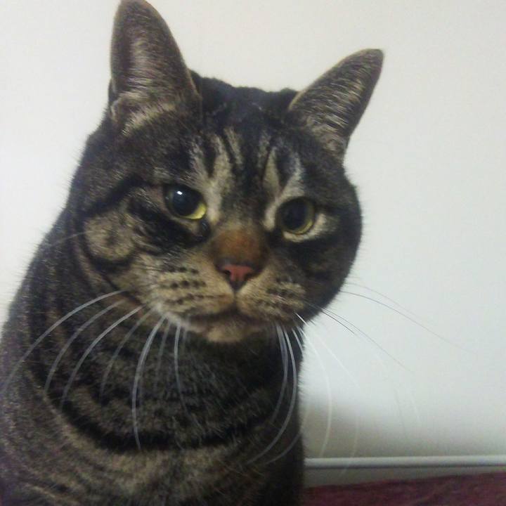 0aae5333 09c8 49ef a02d 0e7be6879b0e