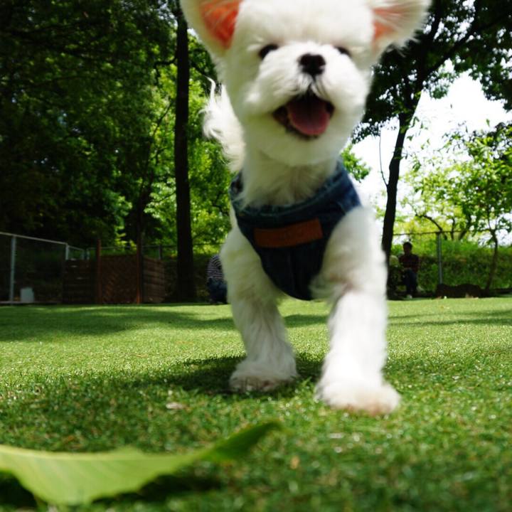 0aaf64d5 11f9 4424 92ae 420901557778