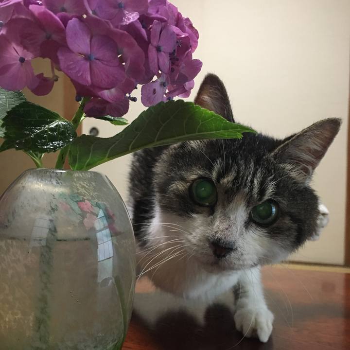 0aaf64f1 89e4 4cdb 8aee 2d0e4b824cd5