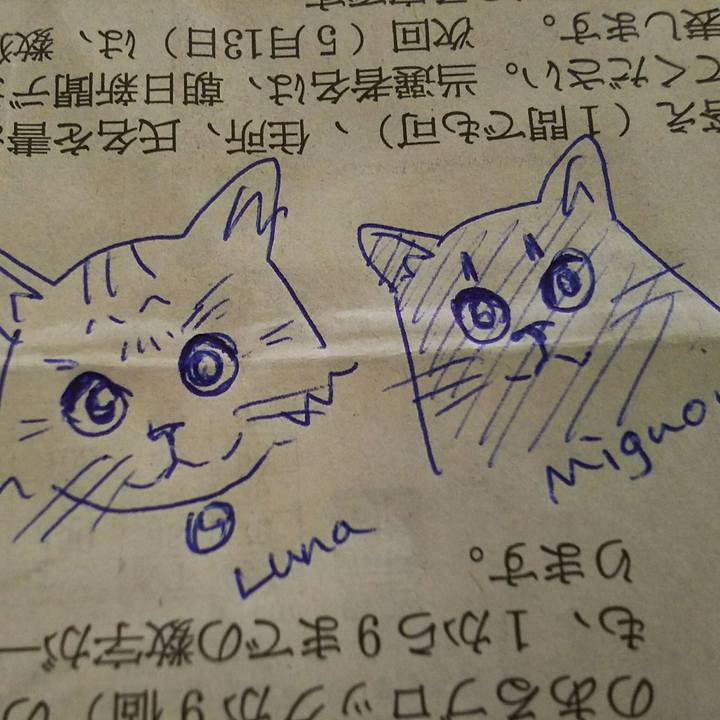 0aaf6ee0 babd 4a1f 8898 849398bfe84d