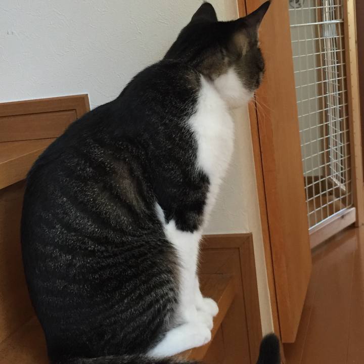 0aaf9c7a dbd7 4d62 a026 1839437eabd9