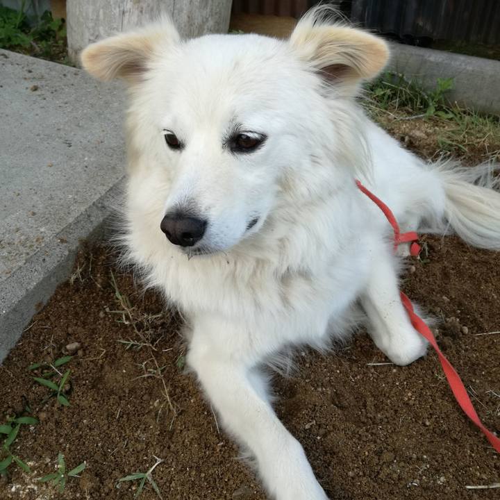 0aafc1a9 31e1 48e1 a6db 8c3a1abe8184