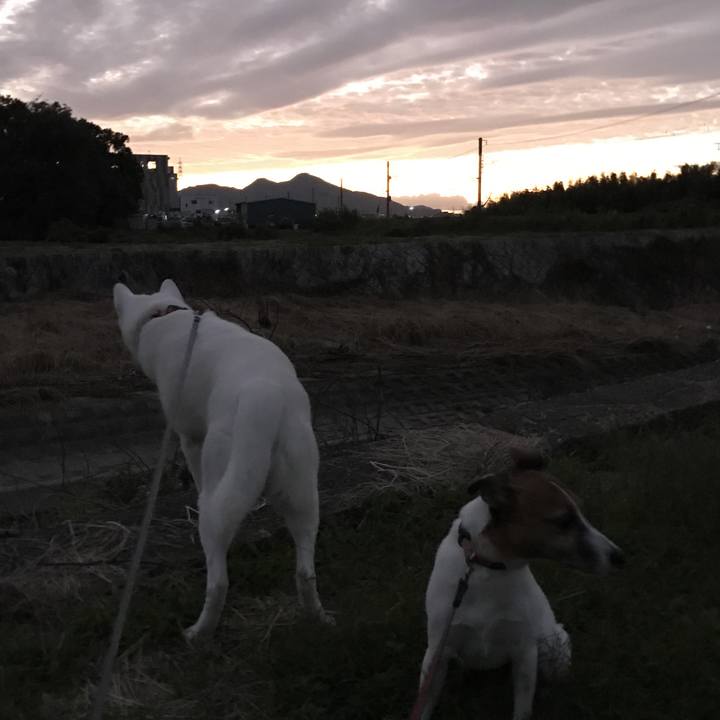 0ab0236b a651 4293 be2c 7d68409c7166