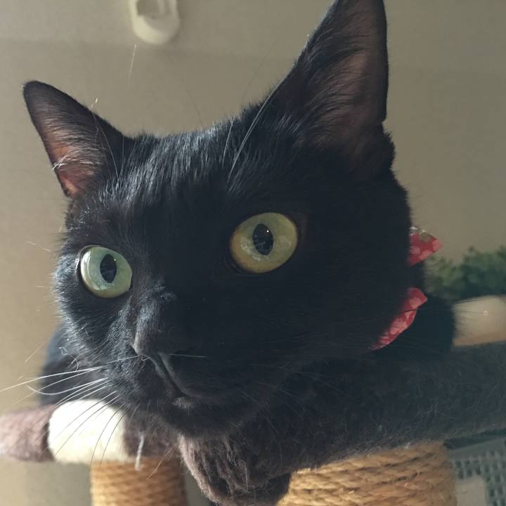 0ab0b3cc 4fec 4dc6 8a11 33d96934ceca