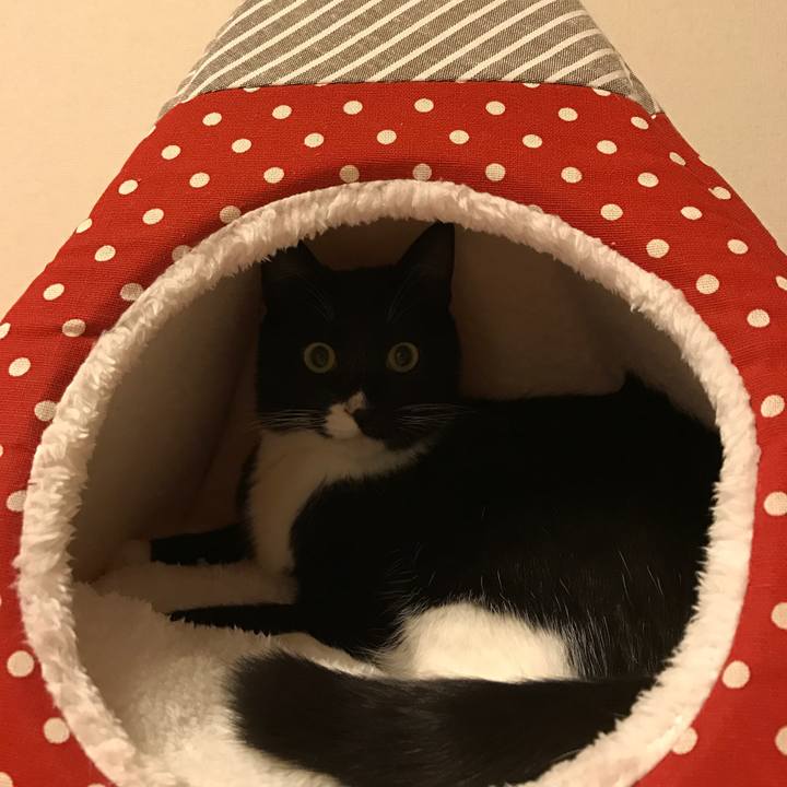 0ab115f0 5f16 45c2 9d21 ce10b913b640