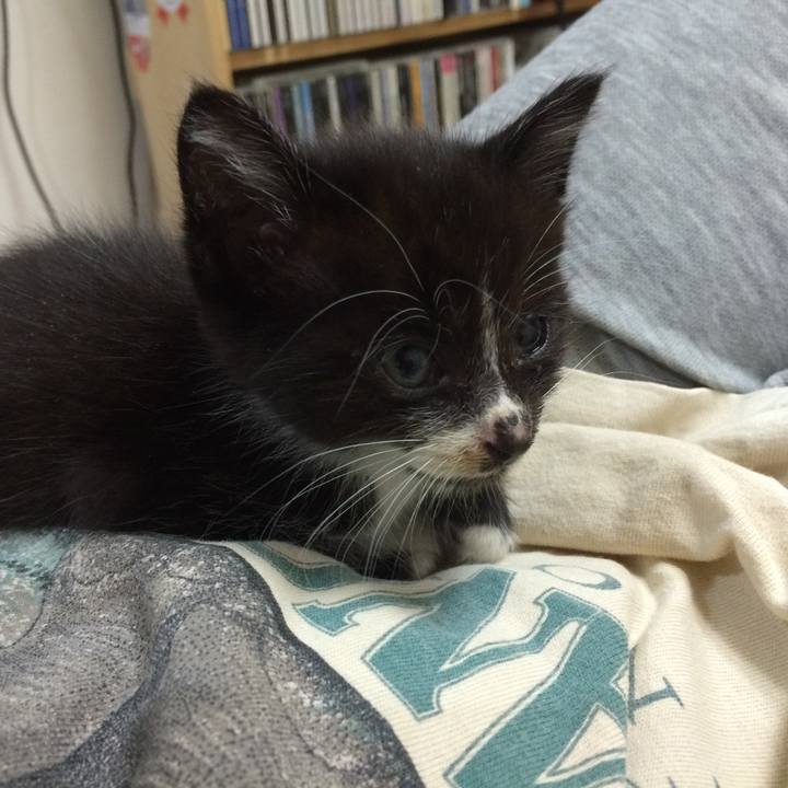 0ab12251 6187 4cb9 b746 0971a18abeaa