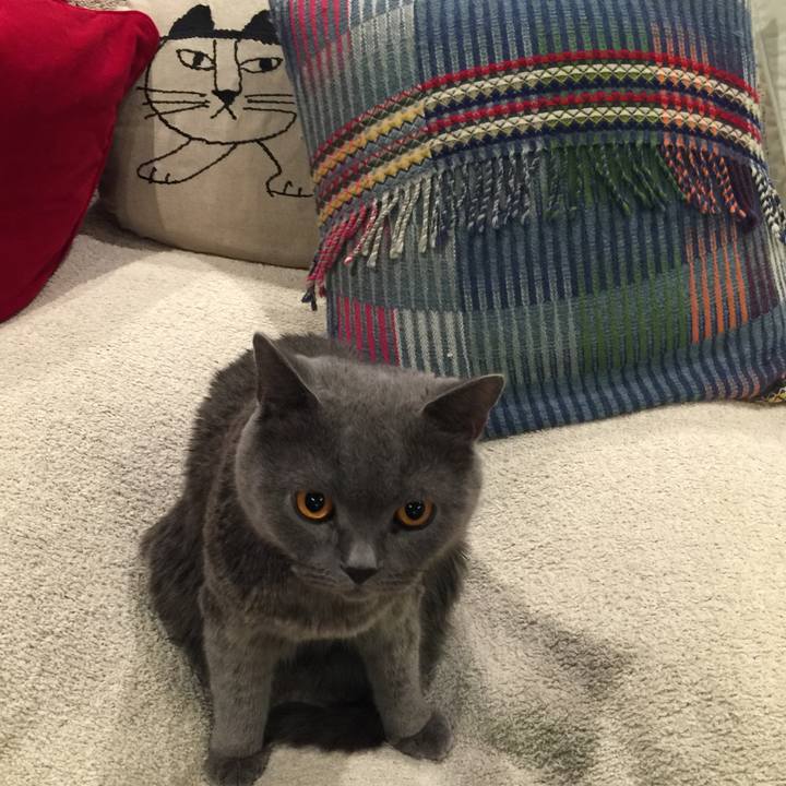 0ab1570a 3dc5 4464 a601 cb1e54c806e3