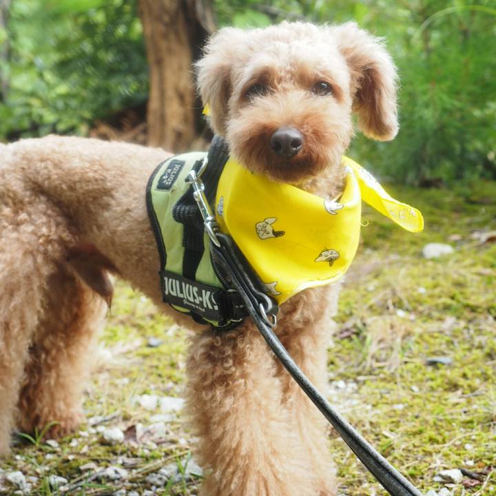 0ab18b92 c072 493c a768 dae0b78b19f3