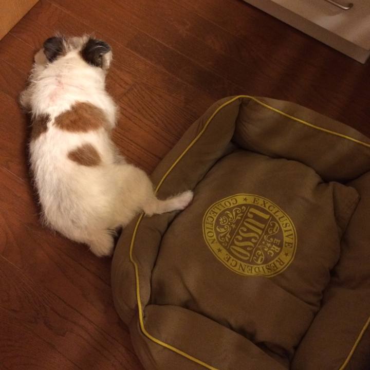 0ab1e929 b58a 4aad 8a3f dade5be98bef