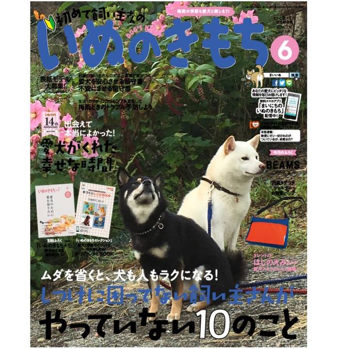 0ab2fcef efe0 4cf3 bcbb 5ff3ac296daa