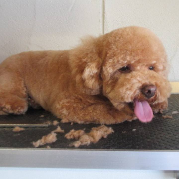 0ab34fbe 99dc 4148 9011 465abcda4b5b