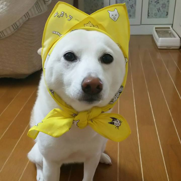 0ab3d468 472e 4793 a2c7 26834a88d1bd