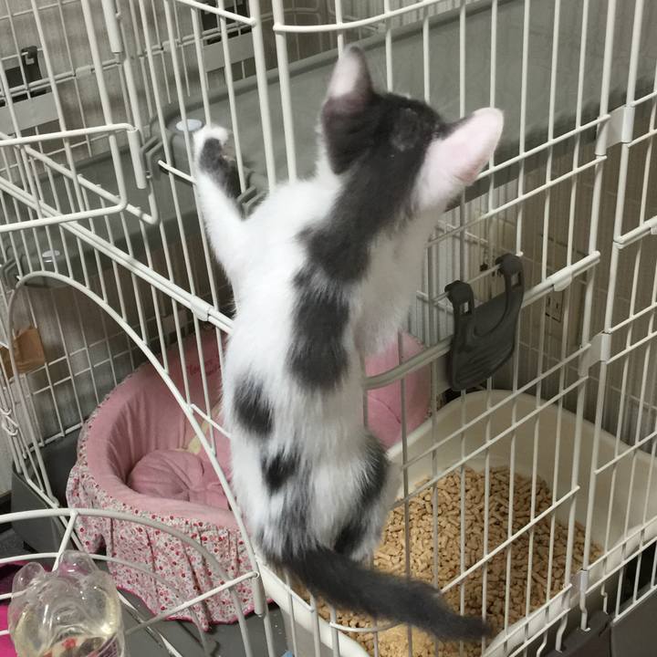 0ab3dc15 8804 4e76 9b46 e37c3f96f2ba