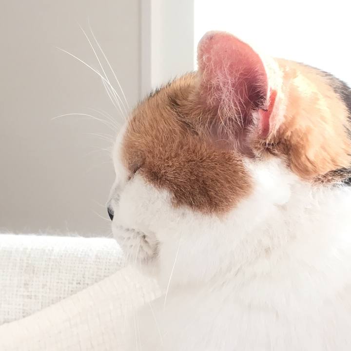 0ab459ee 67e5 4277 947e f94b8be0798e