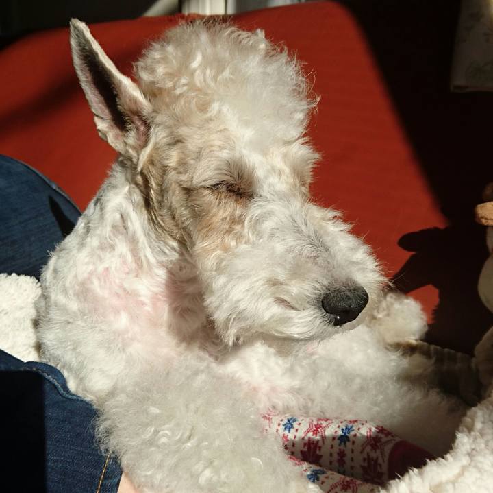 0ab53f70 95c5 4338 ba2d 76b6f3e3f9e5