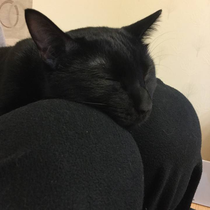 0ab54bde 8e94 4332 b05e 2b5272e0fd5c