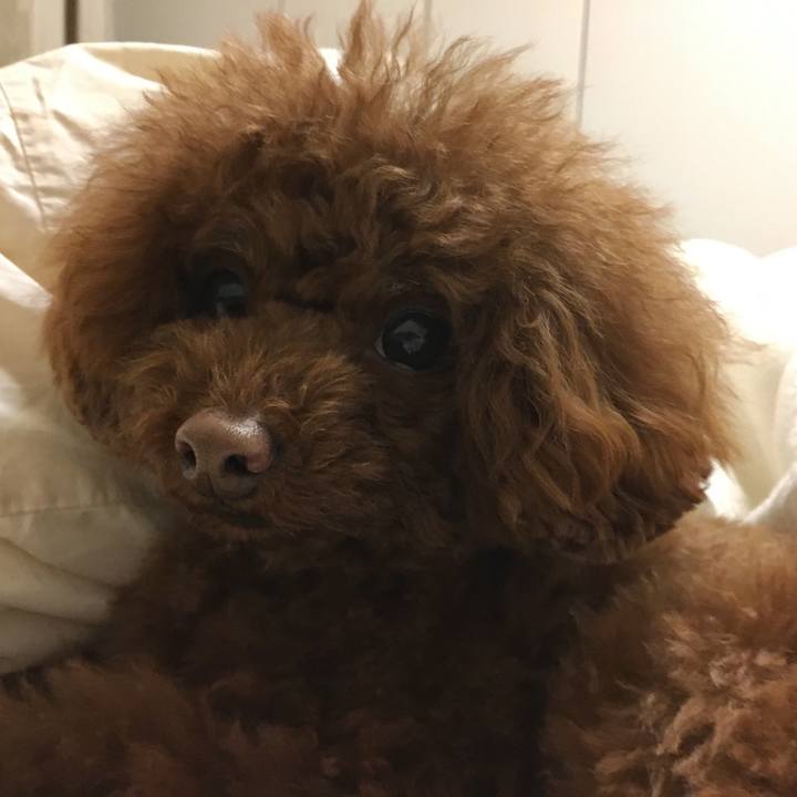 0ab630ba 41fc 4523 b09e 9f0811b402aa