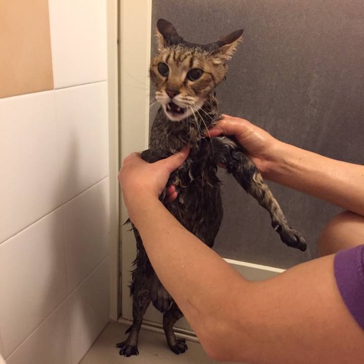 0ab6690e cb18 4049 bcd2 e8e33eb15718