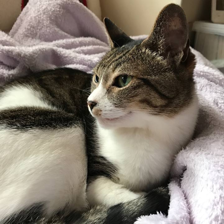 0ab69969 26eb 425d b914 7d17a259a7fe