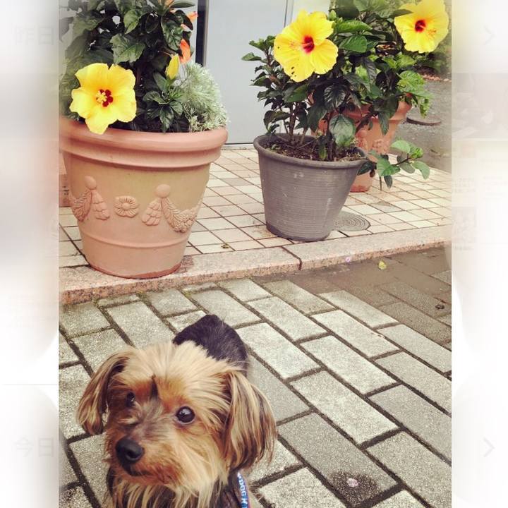 0ab6a0c6 1f69 4a61 85ea 2a3b81afc1dd