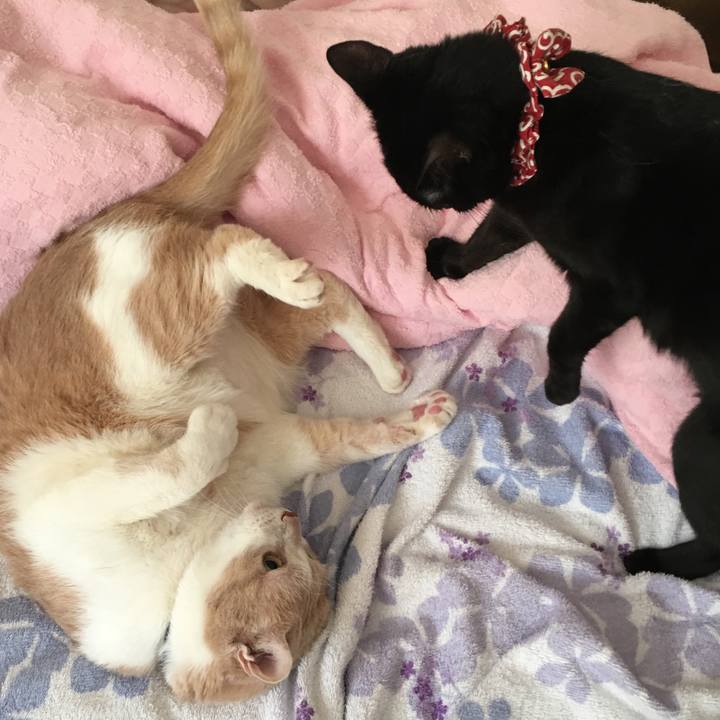 0ab6f705 5d69 436d b679 e283d992a727