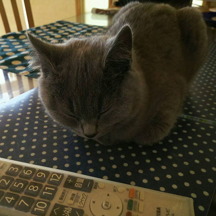 0ab82431 873e 4b88 956b df296f19a0f0