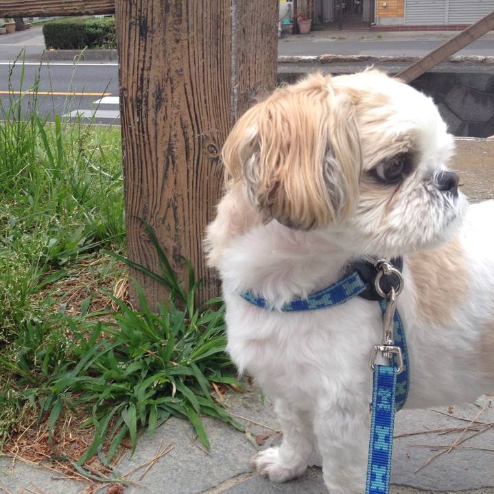 0ab94763 f40b 435e b9a2 44fab958aaaa