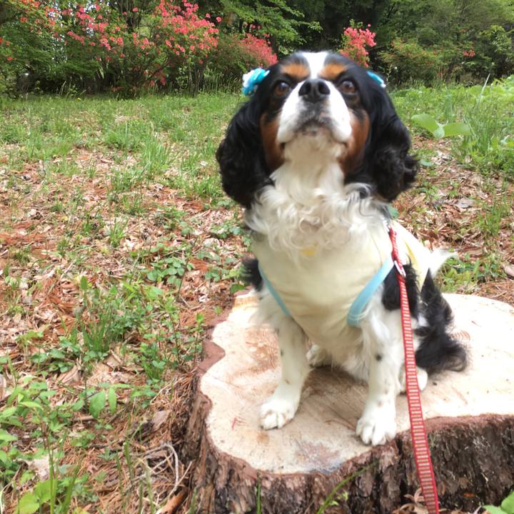 0ab96f5a 667e 4d73 a05a a0ee5bc9e51f