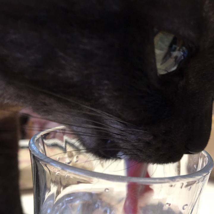 0ab987d2 651d 4f94 b062 0fc2adf5a01e