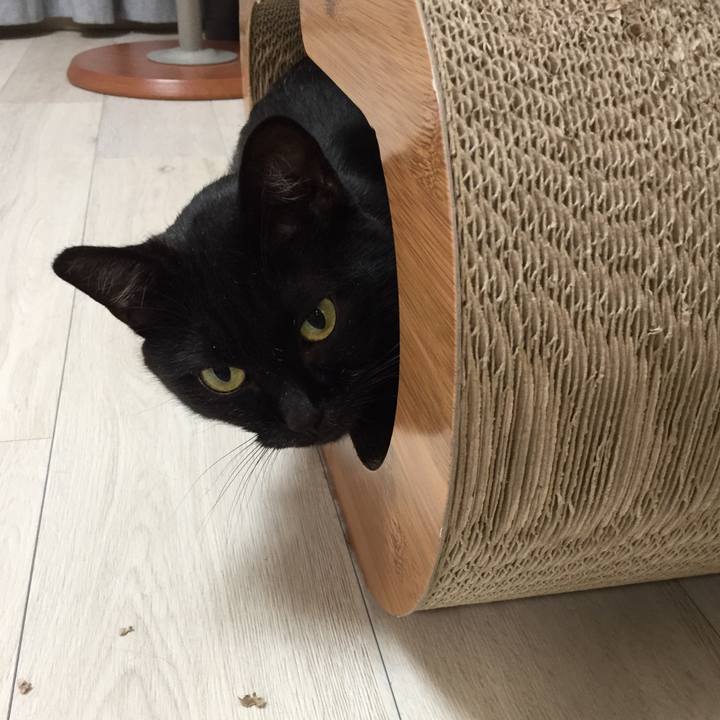 0ab99093 0a3c 4984 bdbb b93de5f6d01e