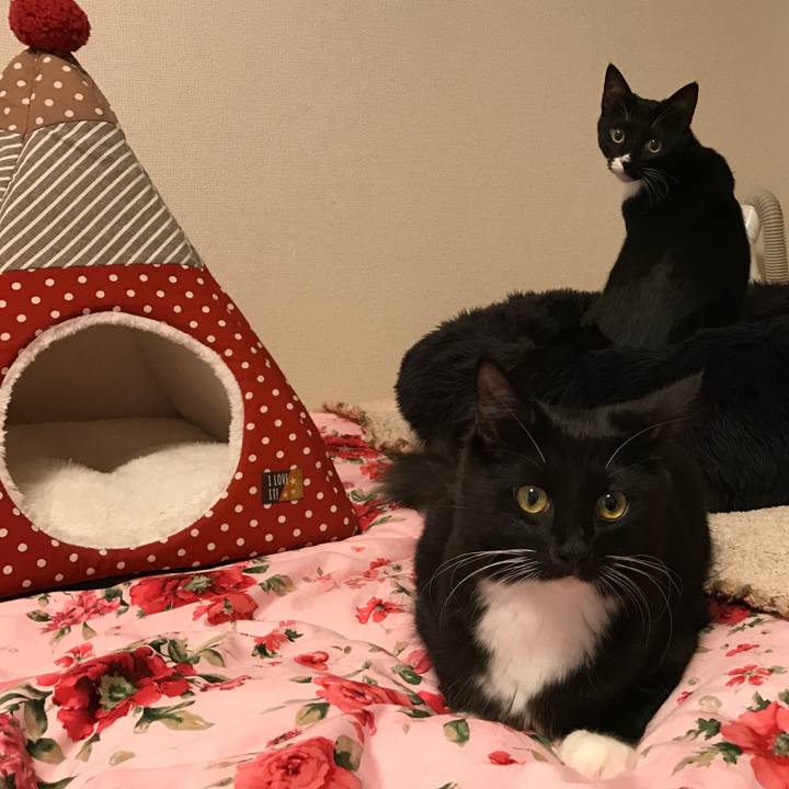 0aba2c51 2582 47fa 8e19 b5df2cb263d6