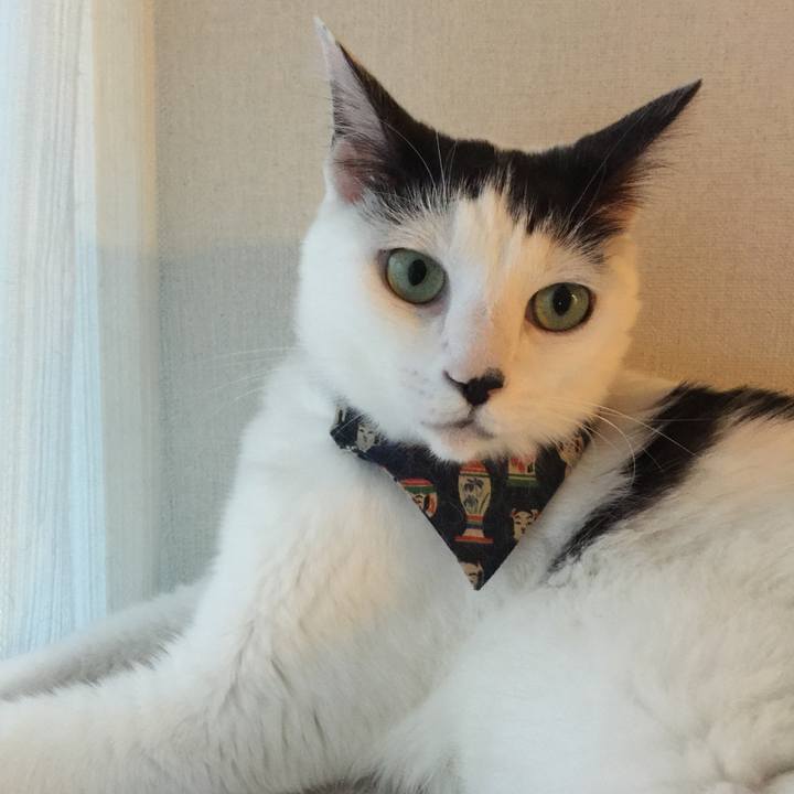 0abaf6ba 3aee 4109 bca9 05c287b58cc9