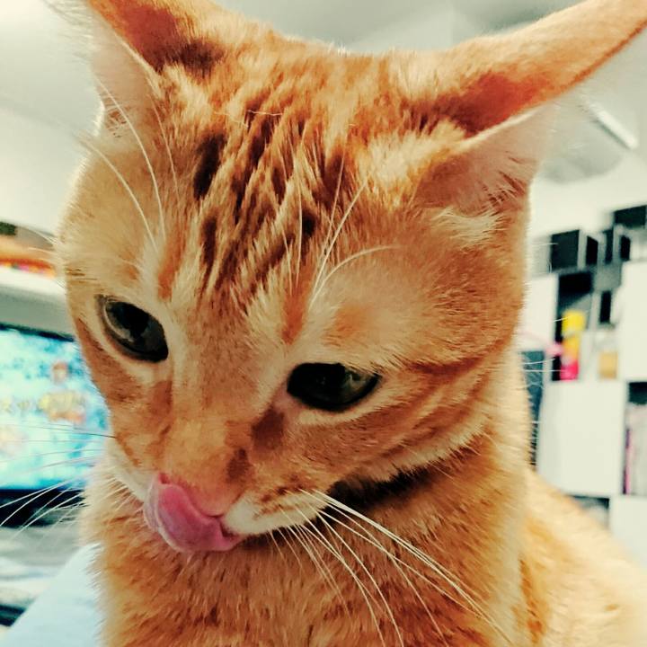 0abb07b7 6014 453e 8c51 6aefb155e64f