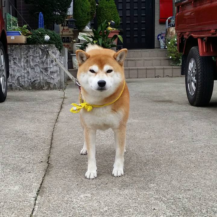 0abb539b 85ec 407c af73 ef1f240c61d9