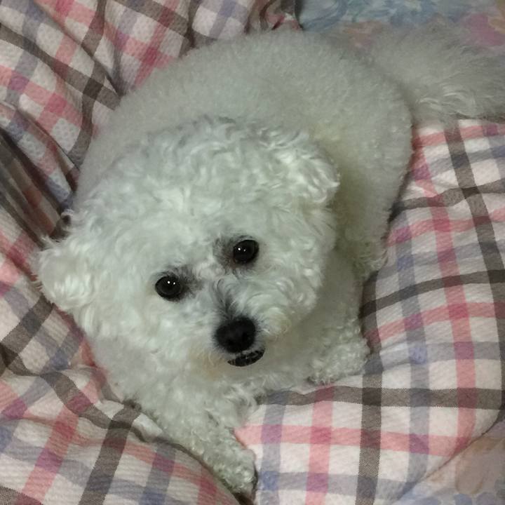 0abbb7d6 65a4 4d89 b903 d9a4197dcd4b