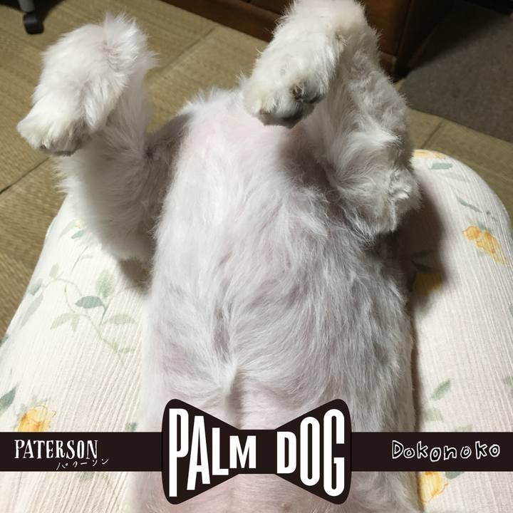 0abc796b 12d7 47b7 9540 1be8d72fe1a2