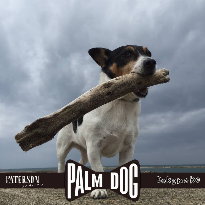 0abcb84b 13fd 4e06 b854 95006b56dd8a