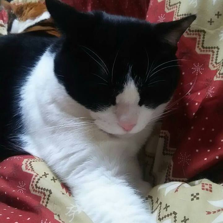 0abcc4c4 95be 4286 b347 ba5096139ed8