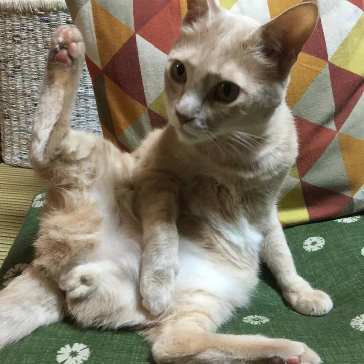 0abdc8e5 452a 467a a02b 64ec8f4e8e2c