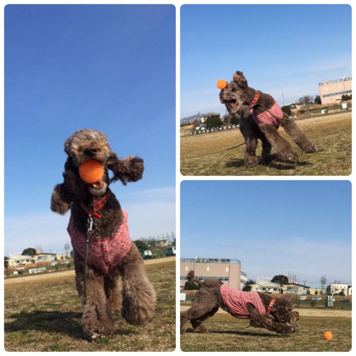 0abdef40 d44c 4d2f 93a1 399ab3b9252d