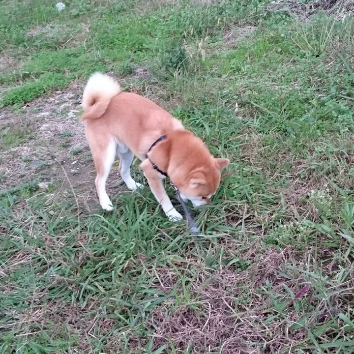 0abe7ab1 3e6a 495d aa41 5721de9ced0f