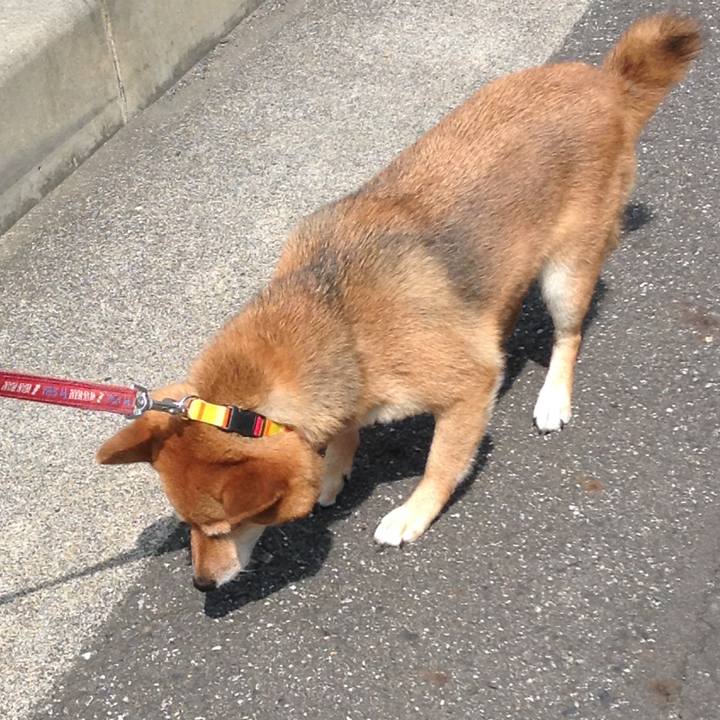 0abed84b d4af 4900 bd3e 09d05e663d4e